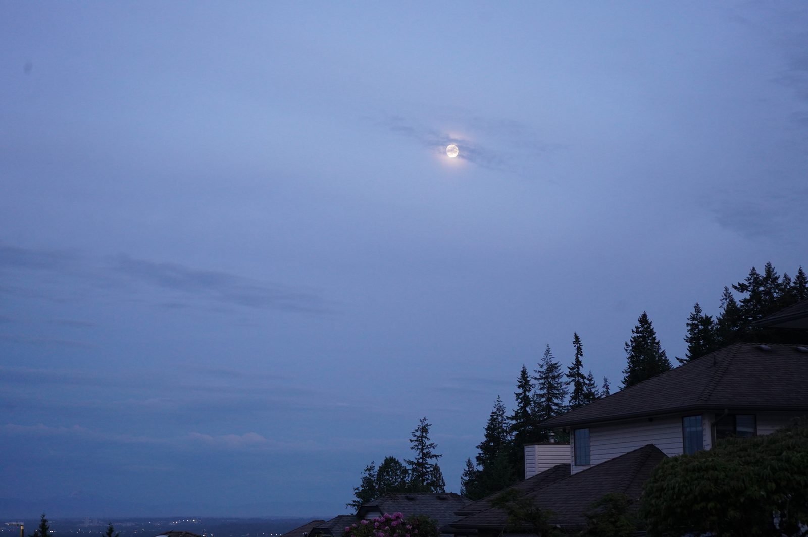 The moon behind thin clouds in a blue evening sky above rooftops and evergreens